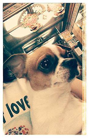 1374598_728608407156302_1018296127_n