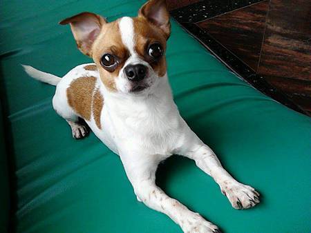 1241162_712311608785982_256522981_n