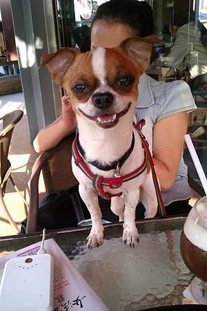 267765_3291575148658_530308843_n