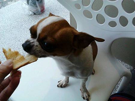 979495_661382687212208_450846597_n