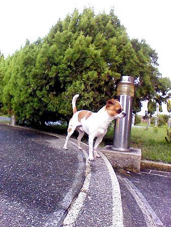 1380928_737664666250676_799182566_n