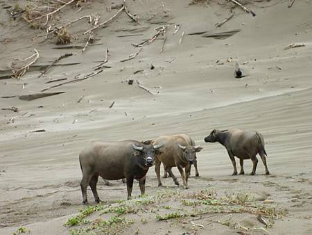 428893_511056308911514_2114013154_n 428893_511056308911514_2114013154_n