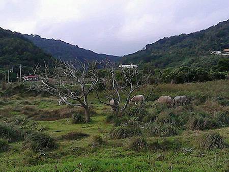 804091_611831922167285_154585955_n 804091_611831922167285_154585955_n