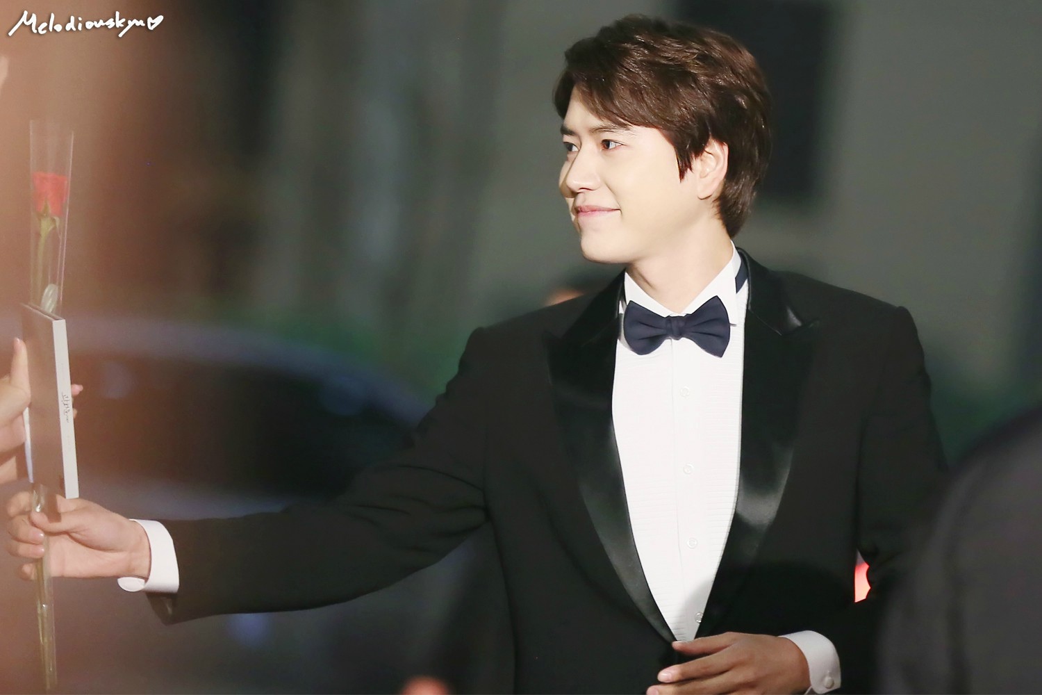 141229 MBC演藝大賞紅毯 (1) 141229 MBC演藝大賞紅毯 (1)