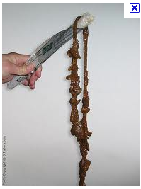 Screen shot 2011-07-26 at 9.52.55 PM.png