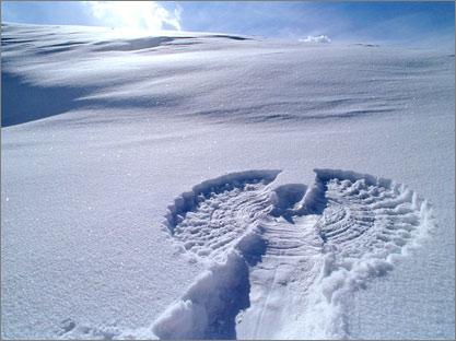 Snow Angel.jpg Snow Angel.jpg
