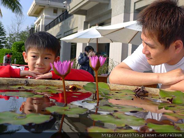 P1140383.JPG P1140383.JPG