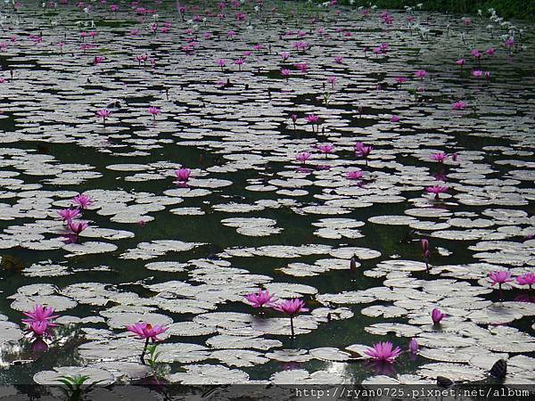 P1140477.JPG P1140477.JPG