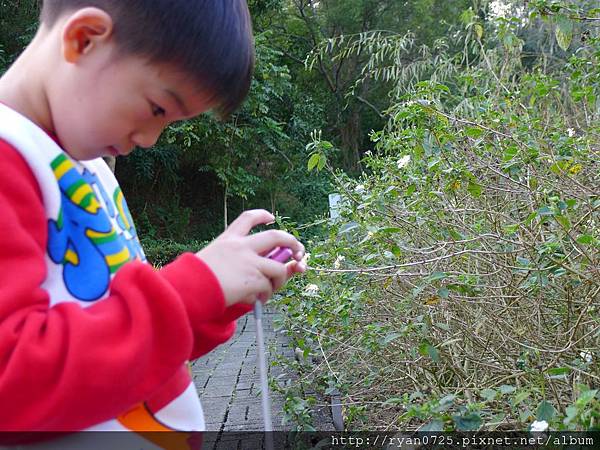 P1140478.JPG P1140478.JPG