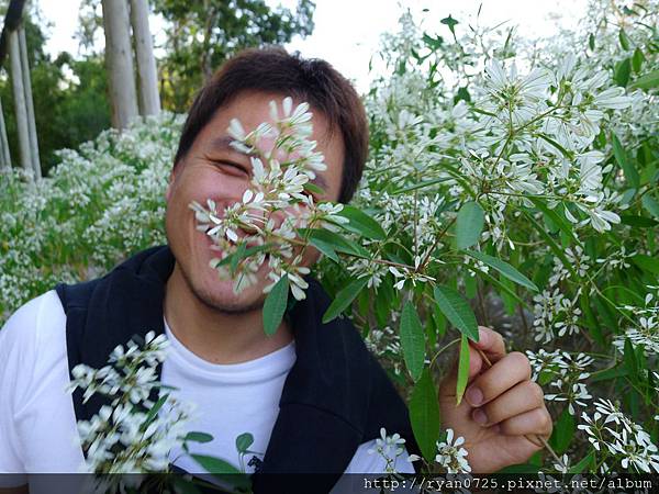 P1140490.JPG P1140490.JPG