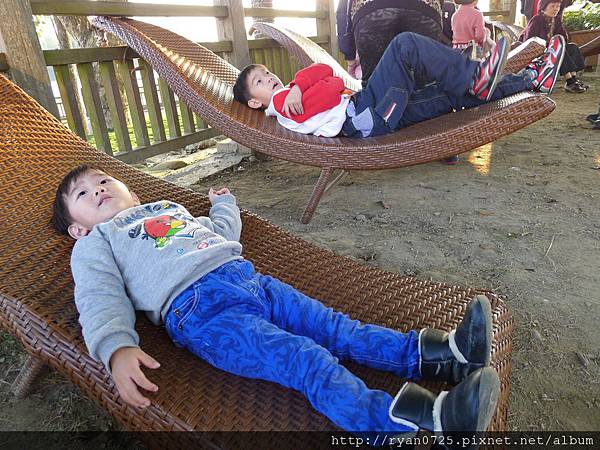 P1140531.JPG P1140531.JPG