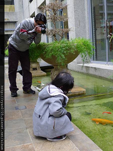 P1140710.JPG P1140710.JPG