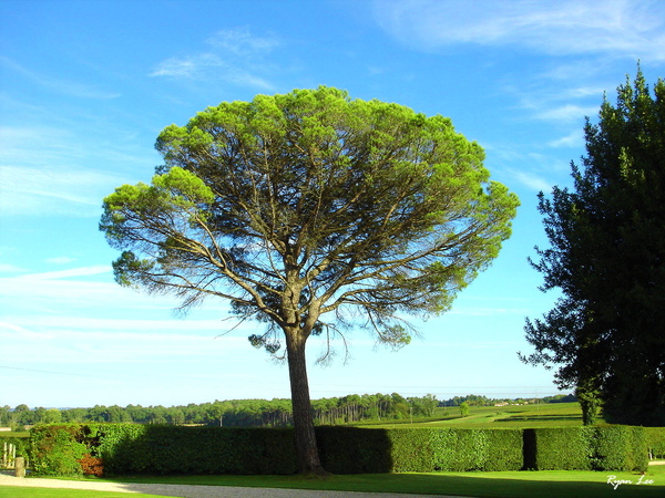 DSC04945.JPG DSC04945.JPG