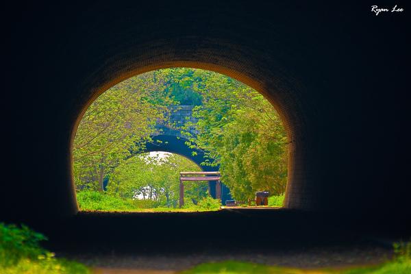 DSC04530.jpg DSC04530.jpg