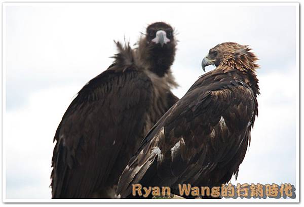 外蒙古旅遊54 外蒙古旅遊54