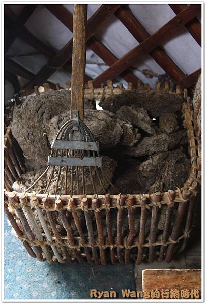 外蒙古旅遊81 外蒙古旅遊81