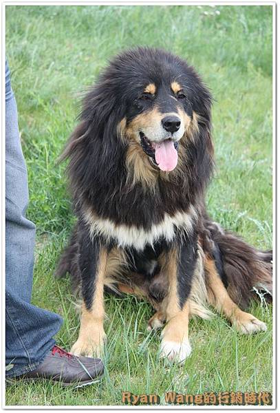 外蒙古旅遊91 外蒙古旅遊91