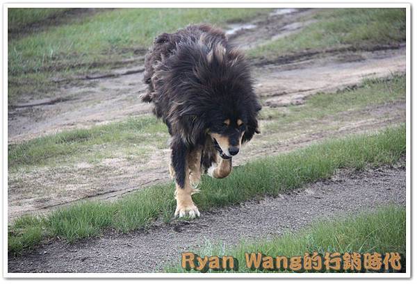 外蒙古旅遊89 外蒙古旅遊89