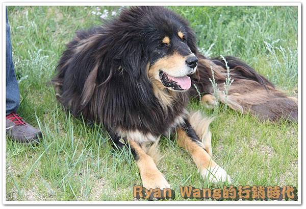 外蒙古旅遊92 外蒙古旅遊92