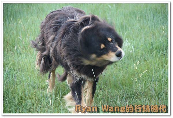 外蒙古旅遊90 外蒙古旅遊90