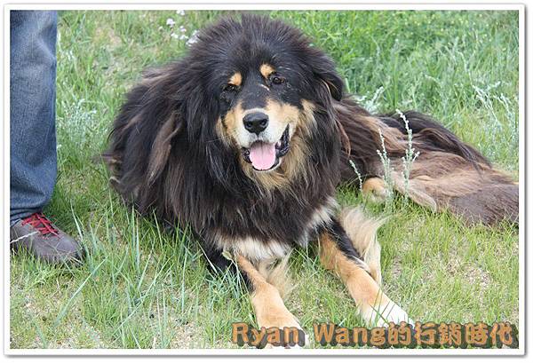 外蒙古旅遊93 外蒙古旅遊93