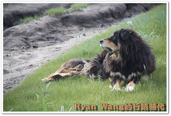 外蒙古旅遊95 外蒙古旅遊95