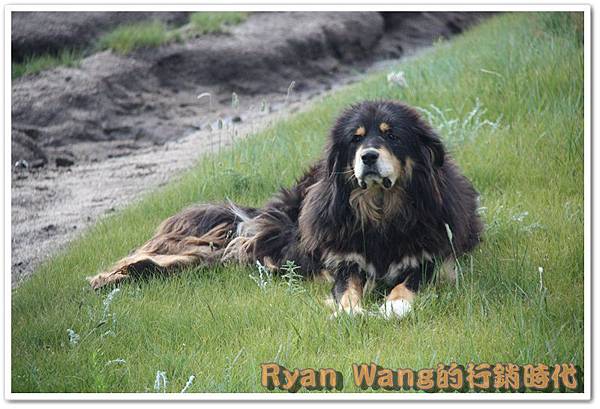 外蒙古旅遊94 外蒙古旅遊94