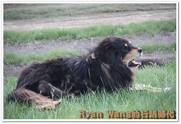 外蒙古旅遊96 外蒙古旅遊96