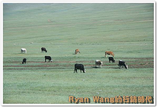 外蒙古旅遊159 外蒙古旅遊159