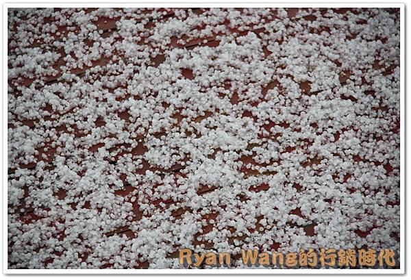 外蒙古旅遊153 外蒙古旅遊153