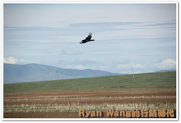 外蒙古旅遊161 外蒙古旅遊161