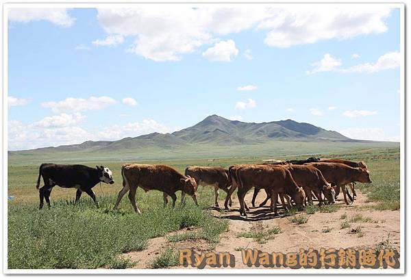 外蒙古旅遊163 外蒙古旅遊163