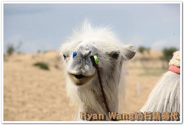 外蒙古旅遊177 外蒙古旅遊177