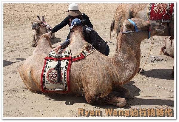 外蒙古旅遊178 外蒙古旅遊178