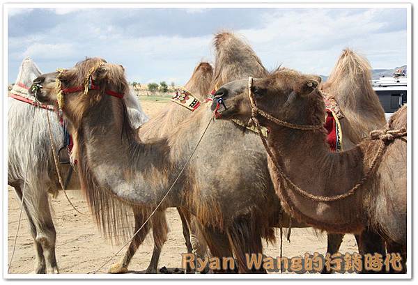 外蒙古旅遊176 外蒙古旅遊176