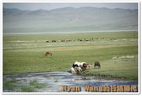 外蒙古旅遊246 外蒙古旅遊246