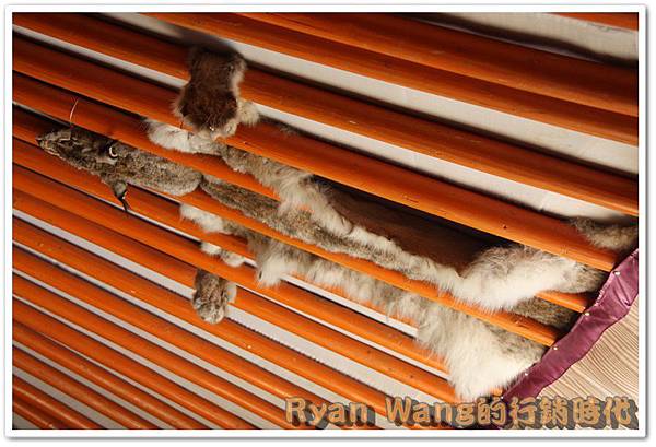 外蒙古旅遊235 外蒙古旅遊235