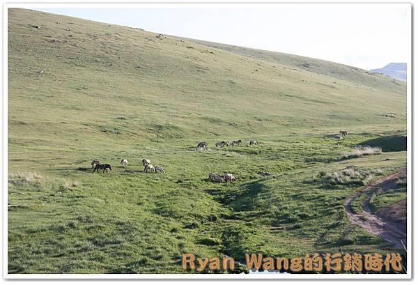 外蒙古旅遊259 外蒙古旅遊259