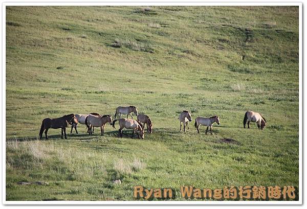 外蒙古旅遊257 外蒙古旅遊257