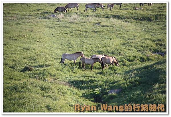 外蒙古旅遊258 外蒙古旅遊258