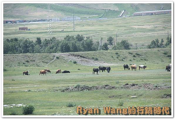 外蒙古旅遊450 外蒙古旅遊450