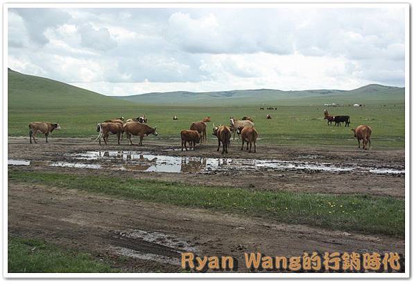 外蒙古旅遊457