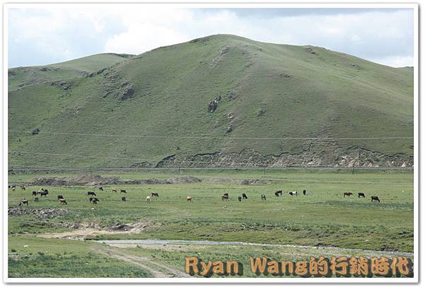 外蒙古旅遊451 外蒙古旅遊451