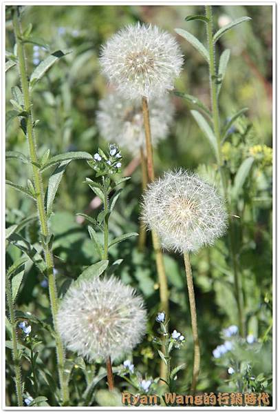 外蒙古旅遊479 外蒙古旅遊479