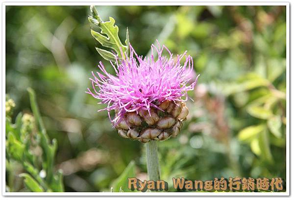 外蒙古旅遊481 外蒙古旅遊481