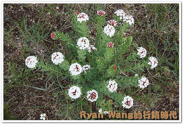 外蒙古旅遊468 外蒙古旅遊468