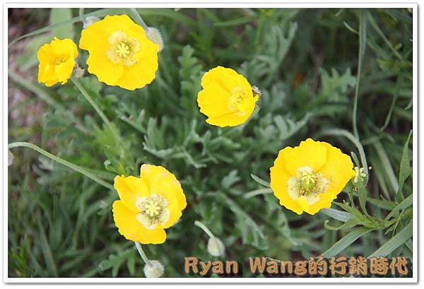 外蒙古旅遊470 外蒙古旅遊470