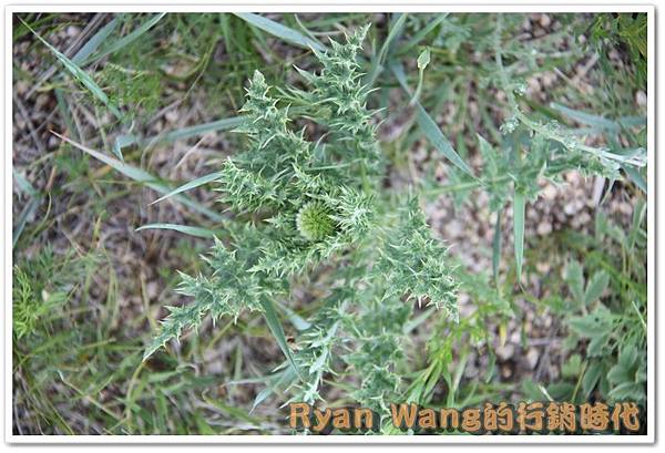 外蒙古旅遊476 外蒙古旅遊476