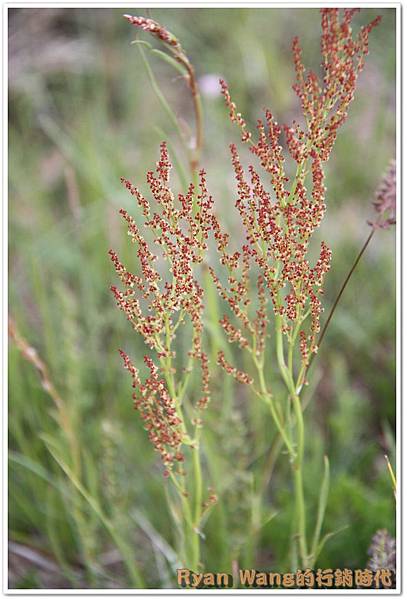 外蒙古旅遊473 外蒙古旅遊473