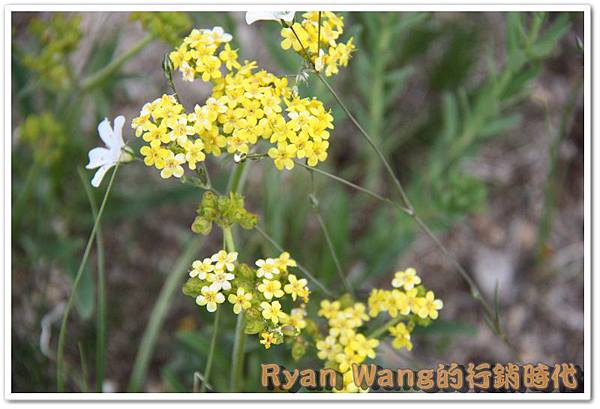 外蒙古旅遊477 外蒙古旅遊477